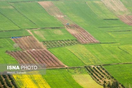 ۱۱۰ هزار هکتار از اراضی کشاورزی سیستان وبلوچستان آماده کشت پاییزه