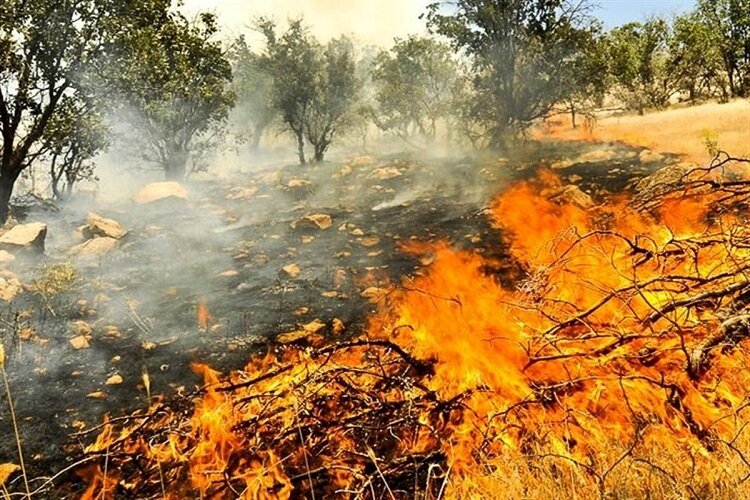 بازداشت ۲ چوپان درپی آتش‌سوزی در پارک ملی ساریگل خراسان شمالی