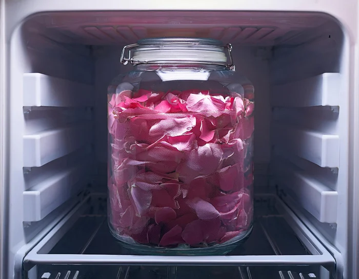 نگهداری گل محمدی در یخچال : راهکارهای علمی و عملی برای حفظ خواص و عطر