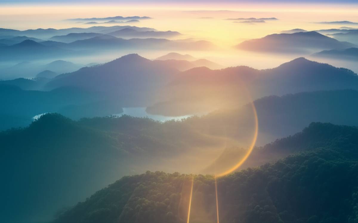 کتاب خلاصه کتاب شگفتی وجود جف فوستر: هر آنچه باید از آن بدانید