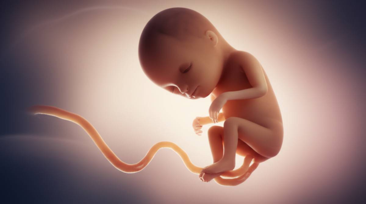 سقط جنین شش هفته چه شکلی است؟ (علائم و تصاویر کامل)