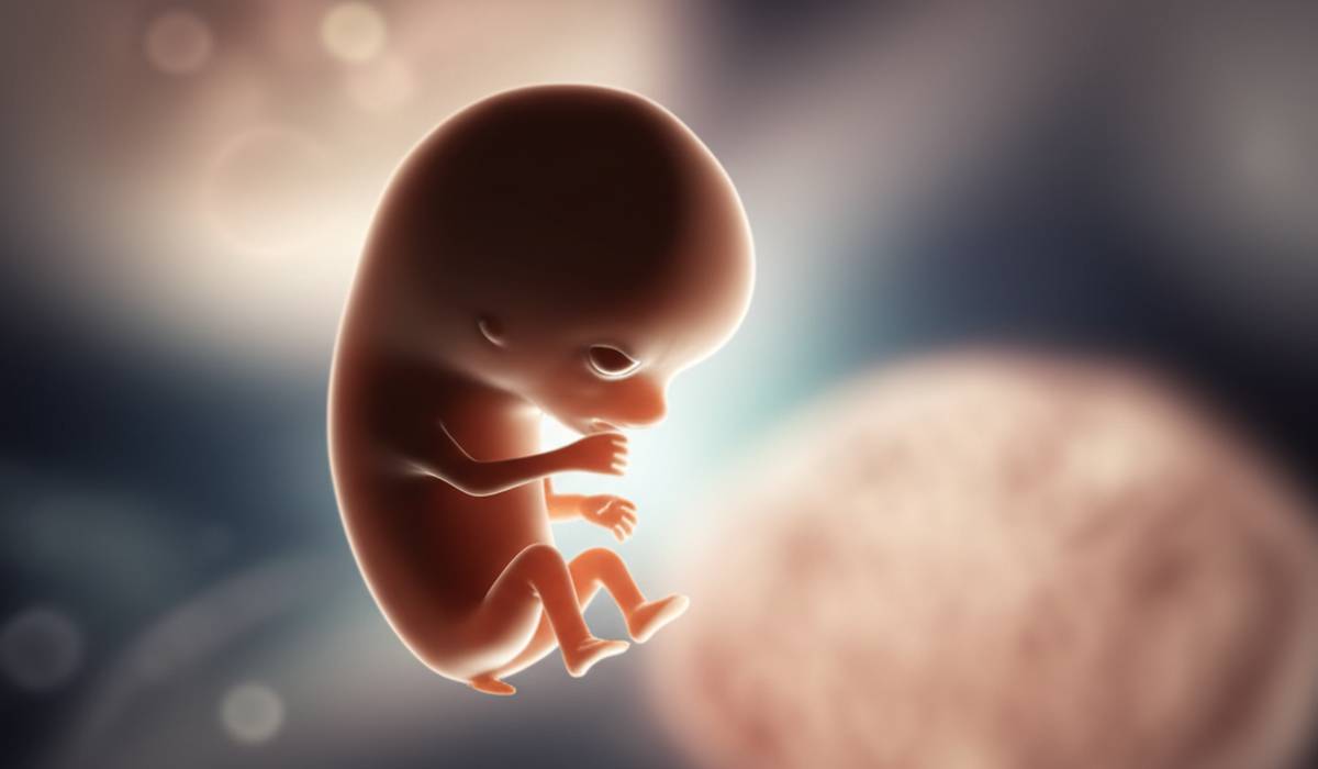 جنین سقط شده در هفته پنجم: علل، علائم و مراقبت ها